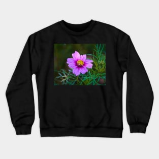 Daisy Marguerite Macro - Magenta Flower With Dark Green Foliage Crewneck Sweatshirt